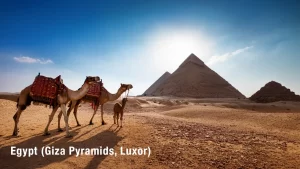 The Comprehensive Cultural Tours Guide to Discovering the World 2025